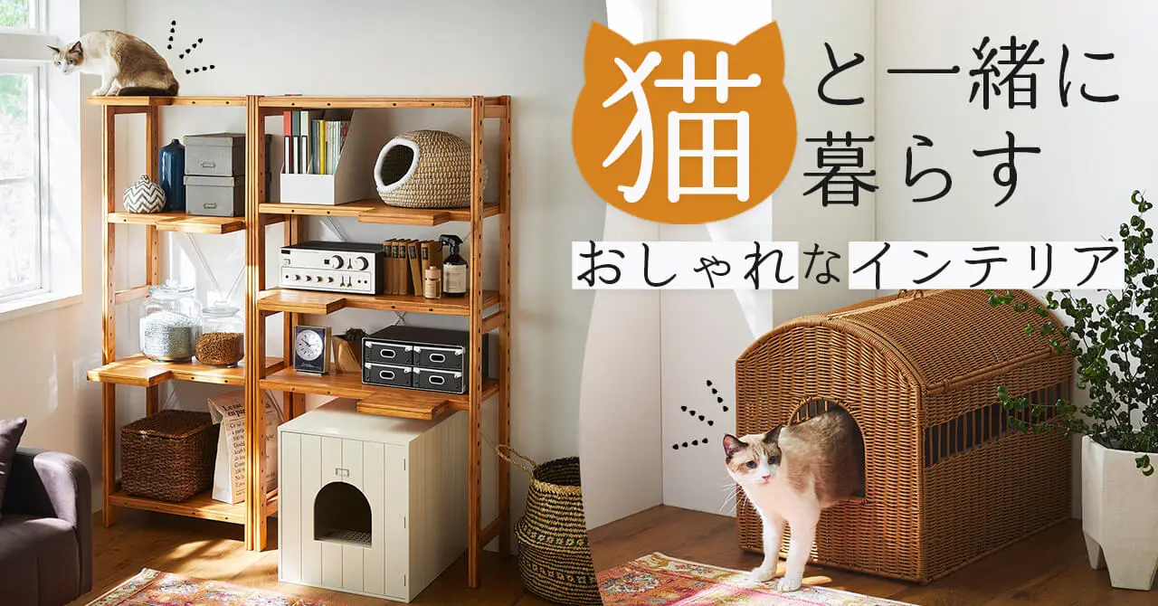 ベルメゾンから新しい猫家具「オープンラック＆トイレカバー」が登場