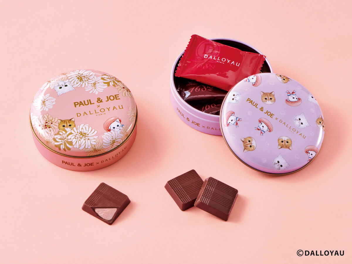 チョコレート缶『ショコラ ミャオ缶』 by ダロワイヨ×ポールアンドジョーのコラボ商品