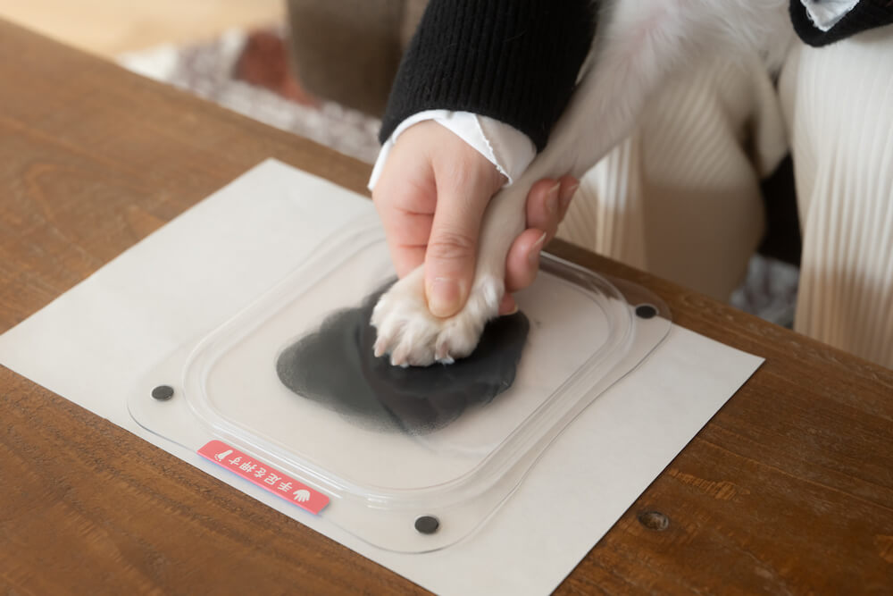 犬猫用の手形・足形作成キット「ぺたっち」のフィルムに犬猫の肉球を押し付けるイメージ