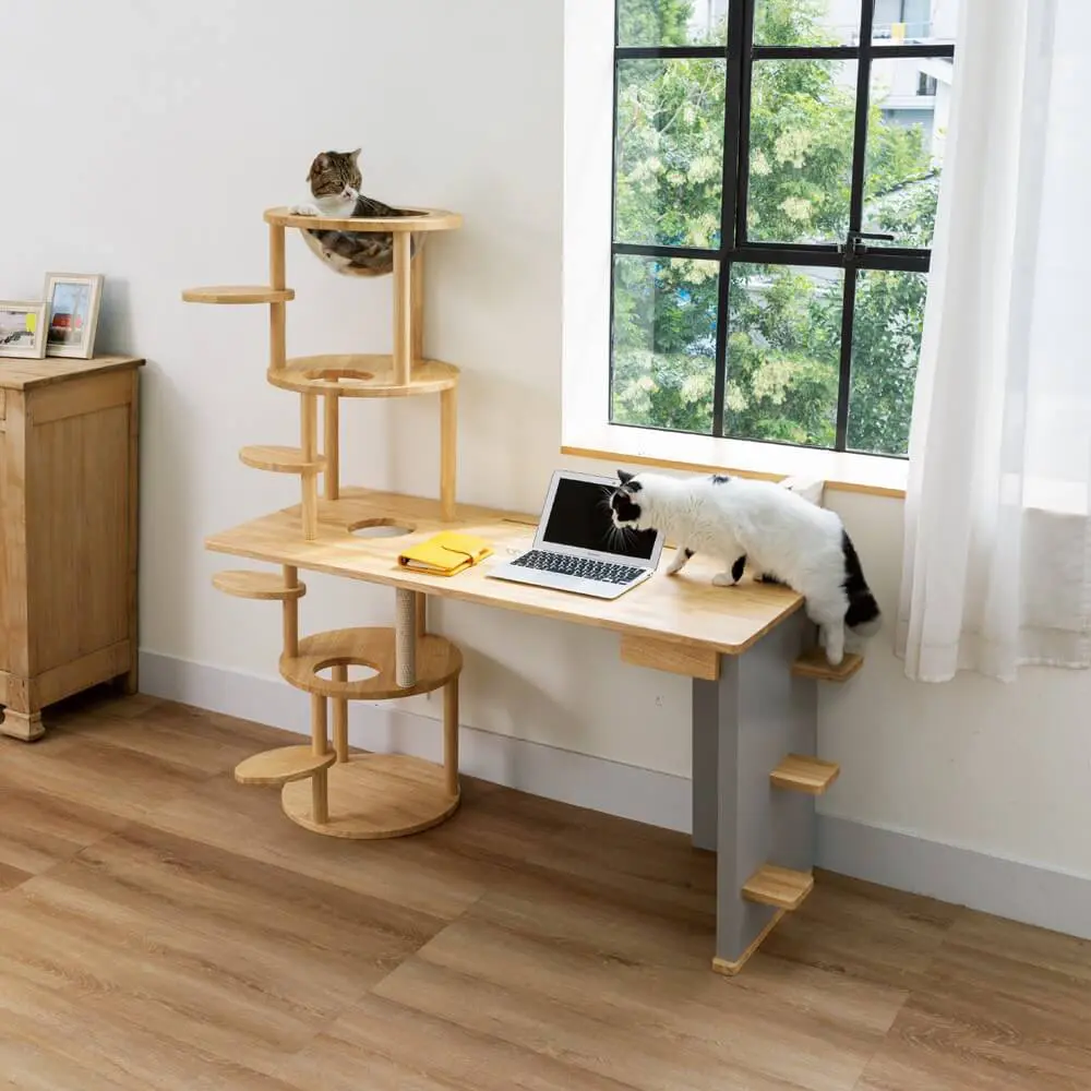 机とキャットタワーが一体化した斬新な家具がディノスから登場！自宅が