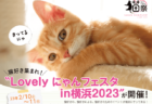 ねこの写真展やキャットショー、専門家による講演会も実施！猫イベント『Lovely にゃんフェスタ』が2/10に初開催
