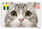 インパクト抜群！ギネス猫「もちまる」のどアップ顔がTカードのデザインに起用、ポストカードブックも新登場