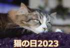 東京で開催されている「猫の日イベント9選」を一挙紹介！新宿・渋谷・池袋などの百貨店や商業施設にフォーカス