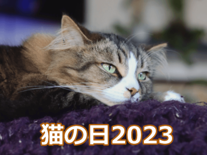 東京で開催されている「猫の日イベント9選」を一挙紹介！新宿・渋谷・池袋などの百貨店や商業施設にフォーカス