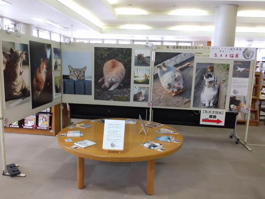 写真家あおいとり個展『気まま猫展』 in 猫ノ図書館(胆沢図書館)の設営風景