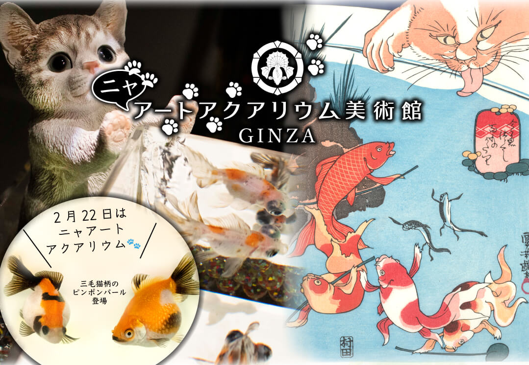 アートアクアリウム美術館 GINZAの猫の日企画「ニャアートアクアリウム」メインビジュアル