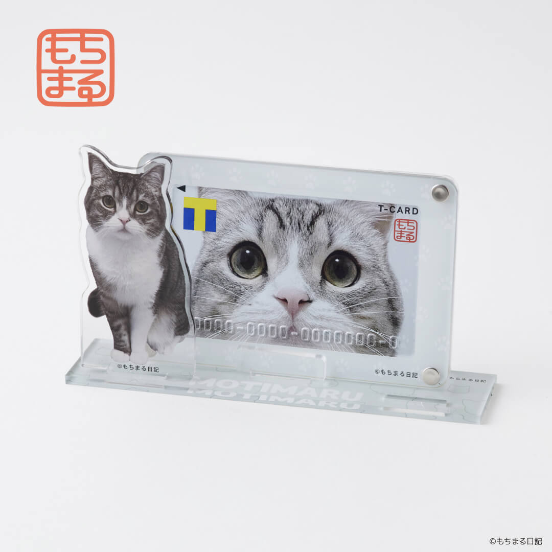ギネス猫もちまるの「アクスタ付きカードスタンド」にもちまるのTカードを飾ったイメージ