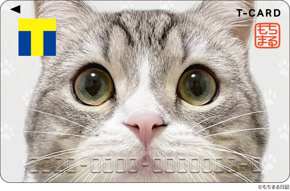 人気猫「もちまる」の写真がデザインされたTカード