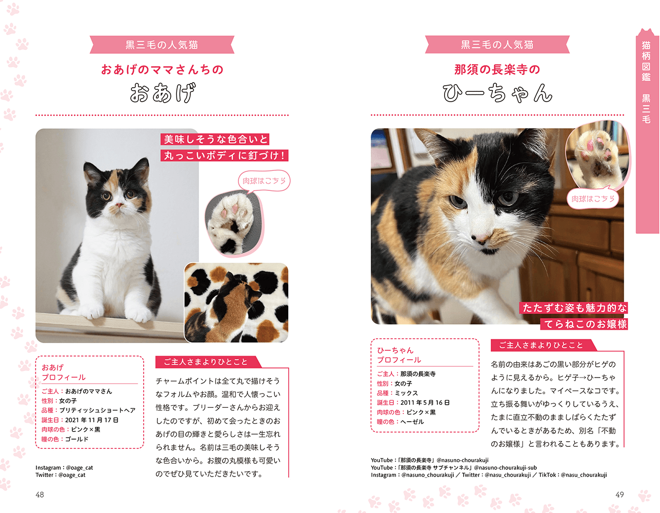 黒三毛猫の例として紹介している人気猫「おあげ」と、那須の長楽寺で暮らす「ひーちゃん」 by 猫柄図鑑
