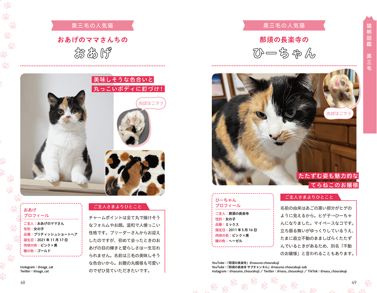 ネコの毛色や模様はどうやって決まるのか？詳しく解説した書籍『猫柄