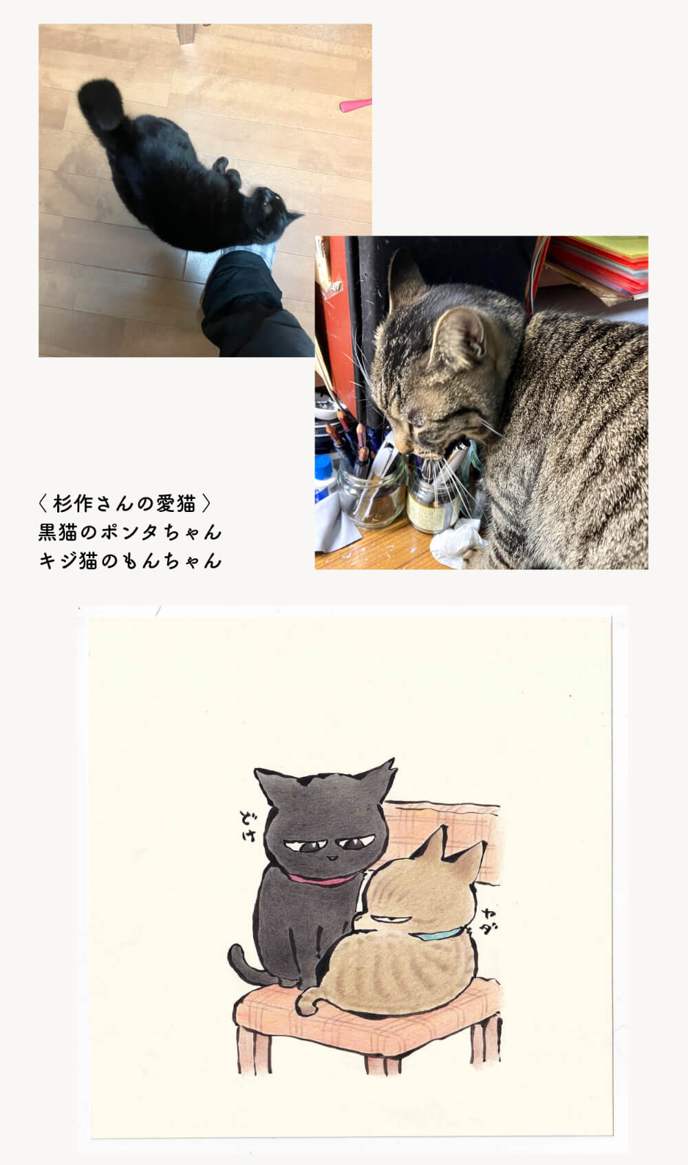 漫画家・杉作さんの愛猫と描き下ろしイラスト