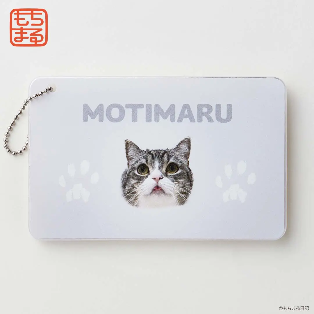 インパクト抜群！ギネス猫「もちまる」のどアップ顔がTカードの