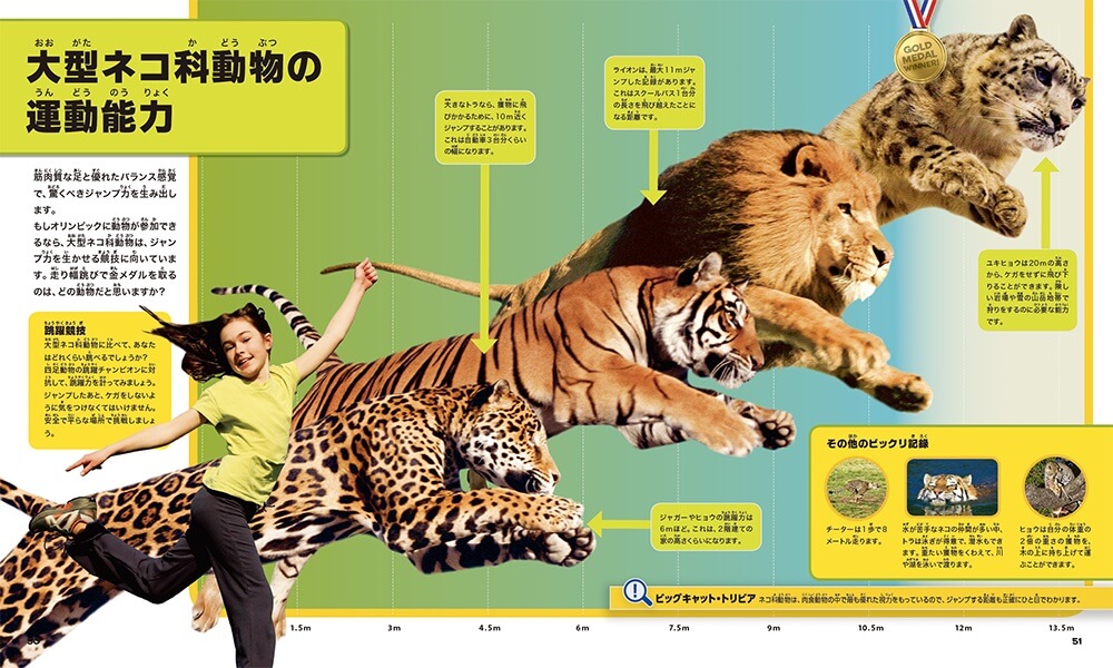 大型ネコ科動物（ビッグ・キャット）の運動能力の比較ページ