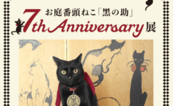 画家・竹久夢二の故郷にある美術館で、看板猫のミニ写真展が開催中！猫のダヤンの作者によるスケッチも初公開