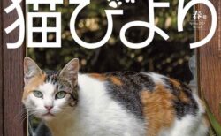 Snow Man 佐久間大介の愛猫インタビューも収録！雑誌『猫びより』の最新号、特集は働き者のネコ