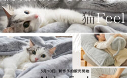 しっぽ付きのクッションが可愛い♪ 猫の手触りと毛色を再現したニッセンの「猫フィール」から2種類の新商品が登場