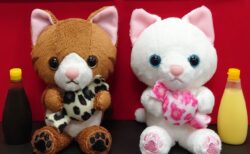 ホテル日航大阪の猫マスコットキャラクターにキジトラと白ねこが仲間入り！名前は大阪らしさ満点のソース＆マヨ