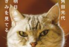 猫愛あふれる24のエッセイを収録！人気作家・角田光代さんが愛猫との日常をつづった書籍『明日も一日きみを見てる』