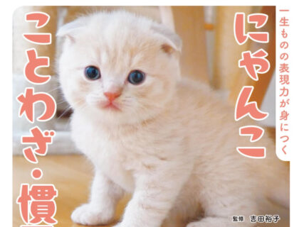 人気ねこYouTuber「つむチャンネル」の猫たちと楽しく学べる書籍『にゃんこ ことわざ・慣用句』が登場