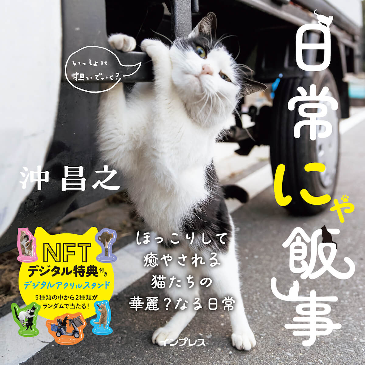猫写真家、沖昌之さんの猫写真集『日常にゃ飯事』表紙イメージ