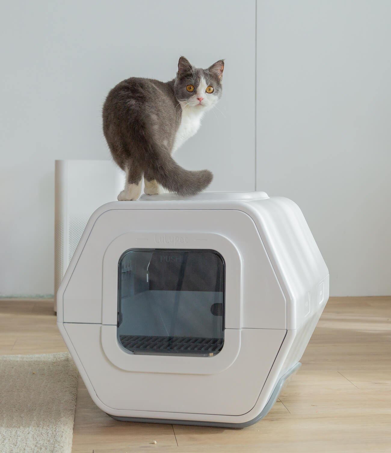 AIで排泄物を画像分析してくれるスマート猫トイレ「LuluPet（ルルペット）」