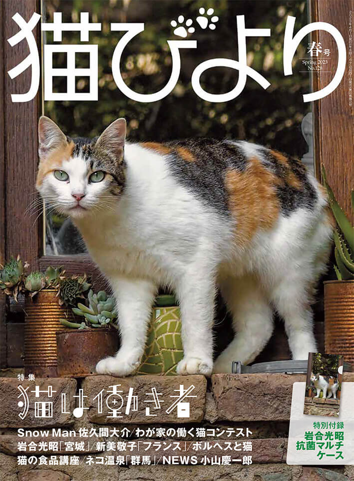 季刊雑誌「猫びより 2023年 春号 Vol.128」表紙イメージ