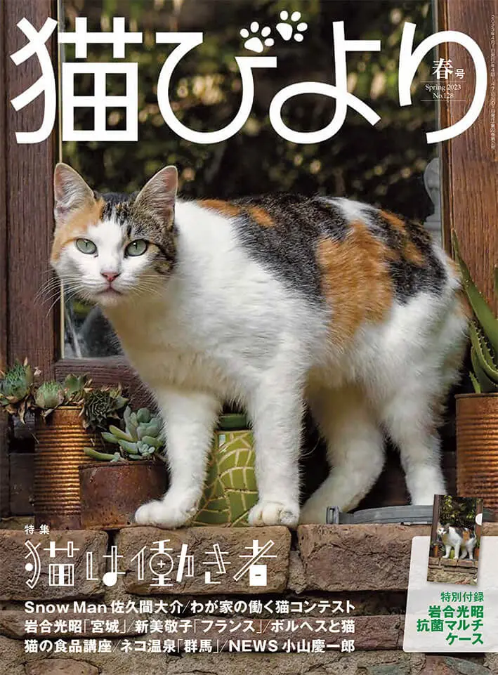 Snow Man 佐久間大介の愛猫インタビューも収録！雑誌『猫びより』の