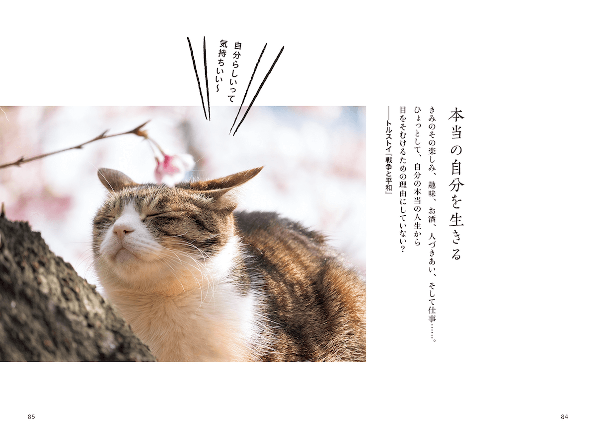 猫の写真を交えながらトルストイの「戦争と平和」を超訳して解説したページ