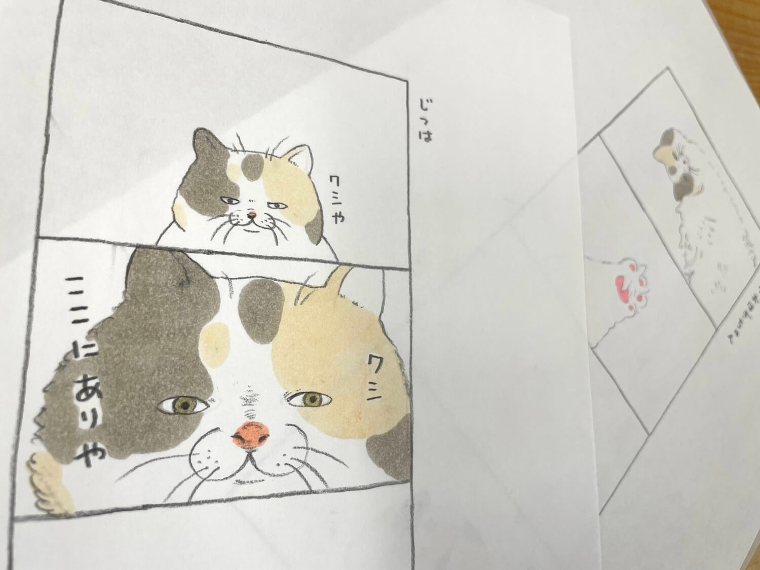 コンドウアキさんが描く三毛猫キャラクター『おはぎちゃん』の原画イメージ