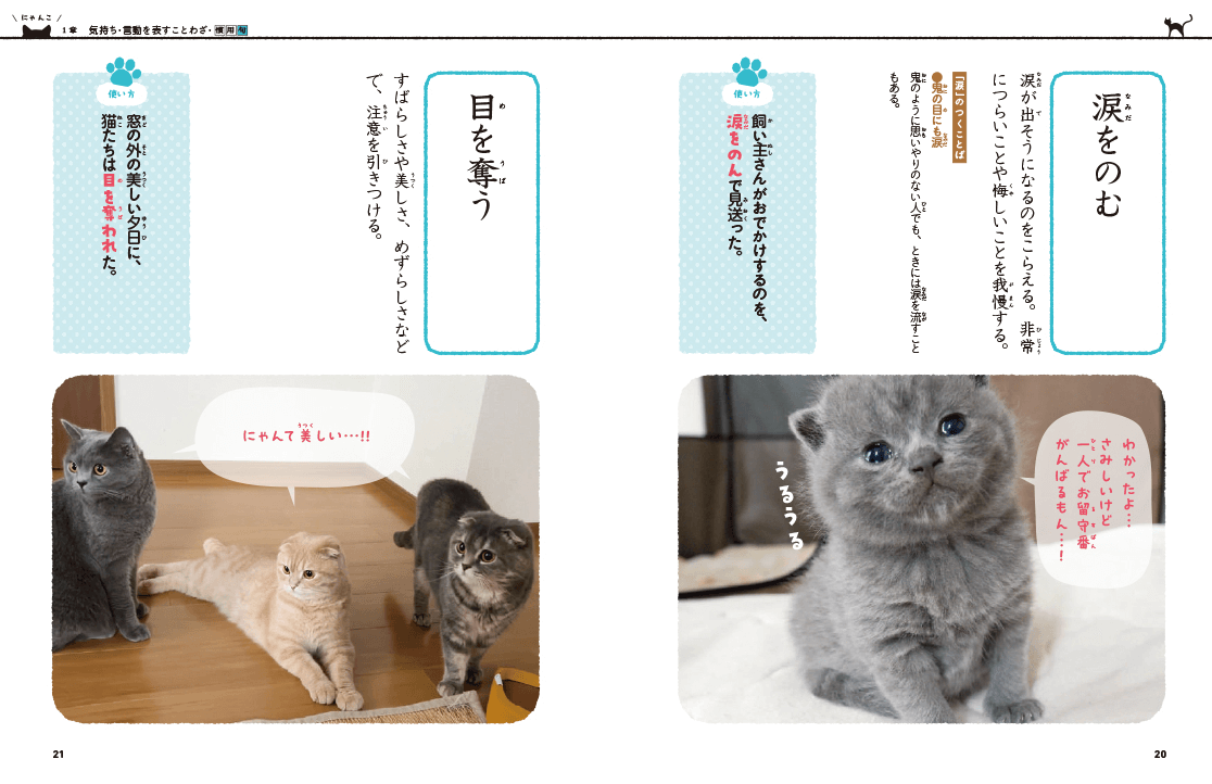YouTubeチャンネル「つむチャンネル」の猫たちが登場する書籍『にゃんこ ことわざ・慣用句』