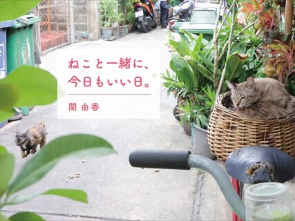 印税もタイの猫に寄付、ネコ写真家・関由香さんがタイの街中を練り歩いて撮影した写真集『ねこと一緒に、今日もいい日。』
