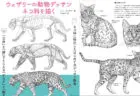 ネコ科動物に特化したデッサン教本