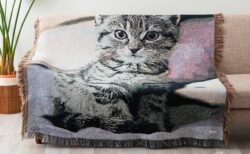 ソファーに掛けると大きな猫が座ってるみたい！ロンドン発の雑貨ブランドから可愛いねこ柄のスローケットが新登場