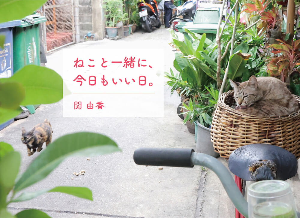 猫写真家・関由香さんの新作写真集『ねこと一緒に、今日もいい日。』表紙イメージ