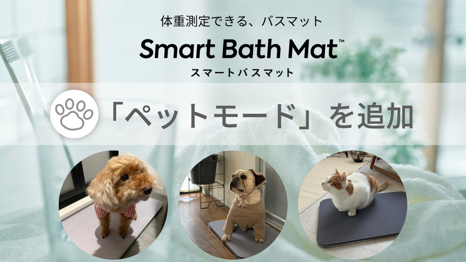 猫や犬の体重測定ができるペットモード機能を搭載 by スマートバスマット