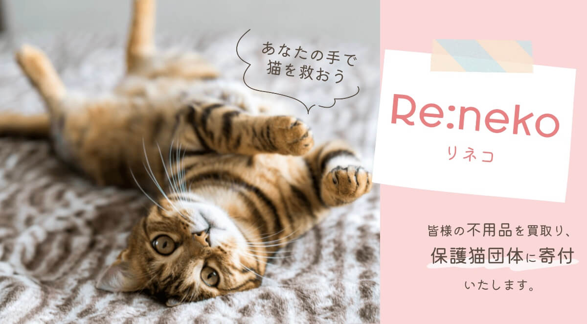 不用品が猫を救うサービス『Re:neko』メインビジュアル