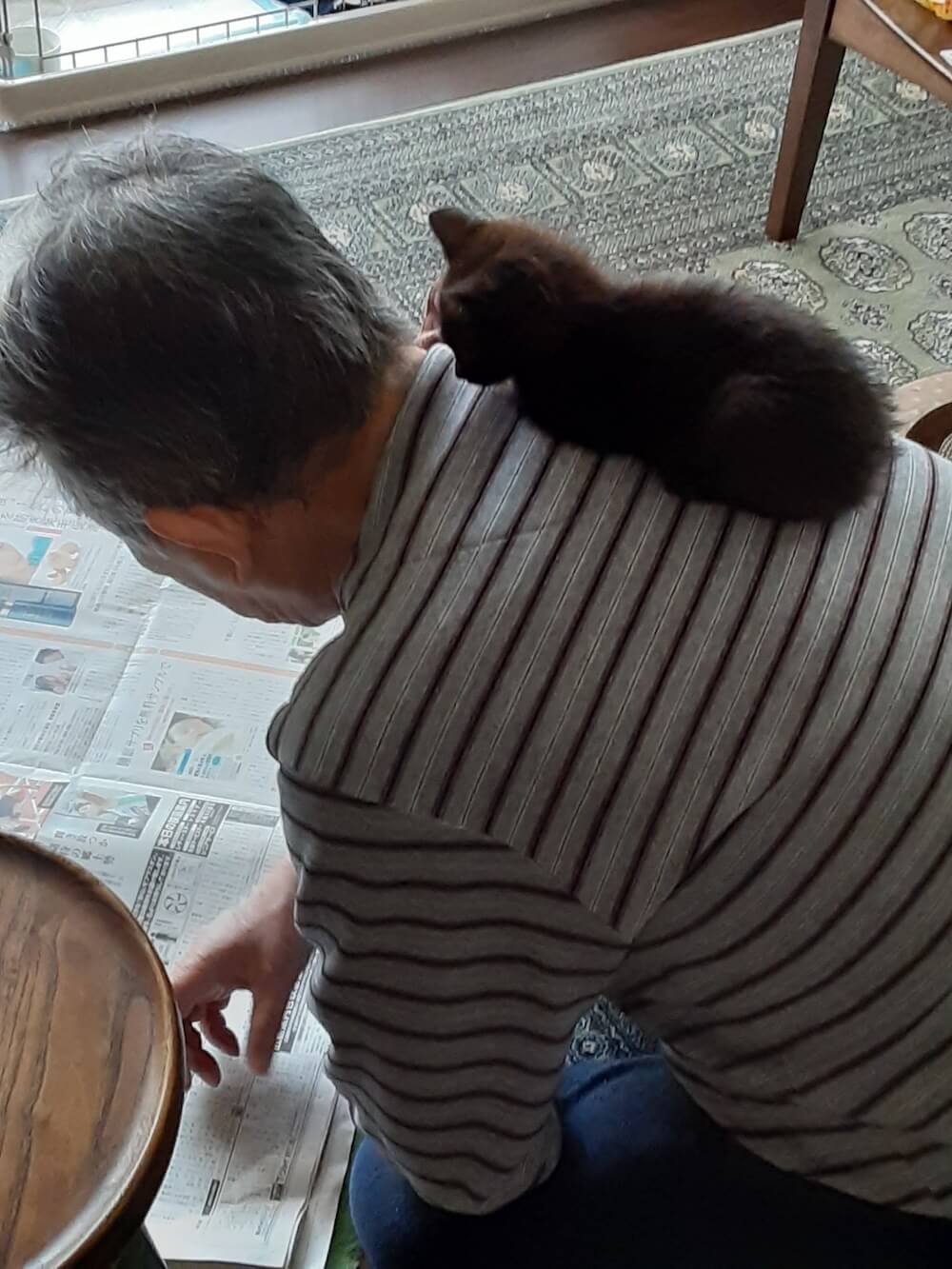 Twitterで話題になった写真「新聞を読む父の背中に座る子猫」