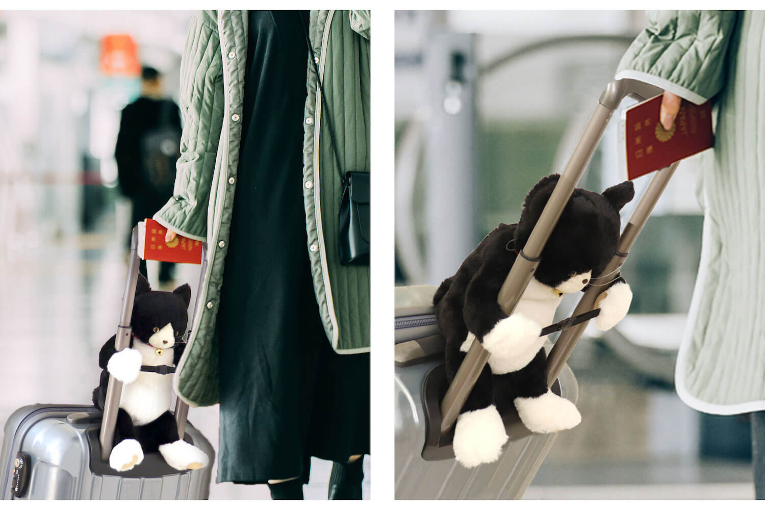キャリーケースに乗せられる猫型のバッグ「キャリーオンキャット」使用イメージ