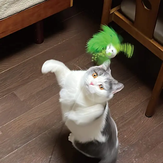 じゃれねこ『4月イベ73』 猫じゃらしランキング！猫の飼い主必見6種類の猫じゃらしを試して