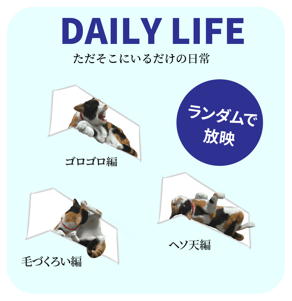 大型ビジョン「新宿東口の猫」の映像パターン「DAILY LIFE」