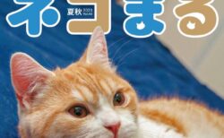 今回の特集は「甘えんぼ」の猫ちゃん！話題のネコからライオンまで、猫の投稿写真で作る雑誌『ネコまる』の夏秋号が登場