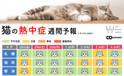【ネコも熱中症に気をつけて】猫に特化した熱中症予報が配信中→全国10都市の注意レベルを4段階で表示してくれる