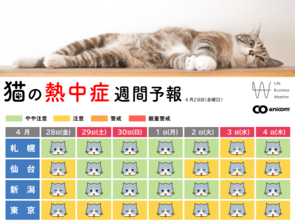 【ネコも熱中症に気をつけて】猫に特化した熱中症予報が配信中→全国10都市の注意レベルを4段階で表示してくれる