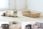 【最新の猫トイレ3選】100％再生紙で作られたエコな猫トイレが登場→砂と一緒に丸ごと捨てられるのでお掃除も簡単ニャ