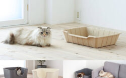 【最新の猫トイレ3選】100％再生紙で作られたエコな猫トイレが登場→砂と一緒に丸ごと捨てられるのでお掃除も簡単ニャ