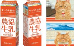 なぜ農協牛乳に猫のイラストが！？4種類の猫パッケージが期間限定で登場→牛乳メーカーと猫の絵本には意外な接点があった