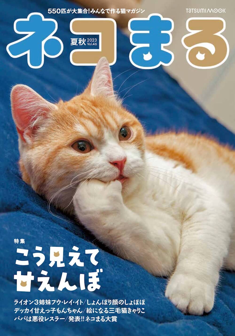 猫写真投稿雑誌「ネコまる」の2023夏秋号（Vol.46）表紙イメージ