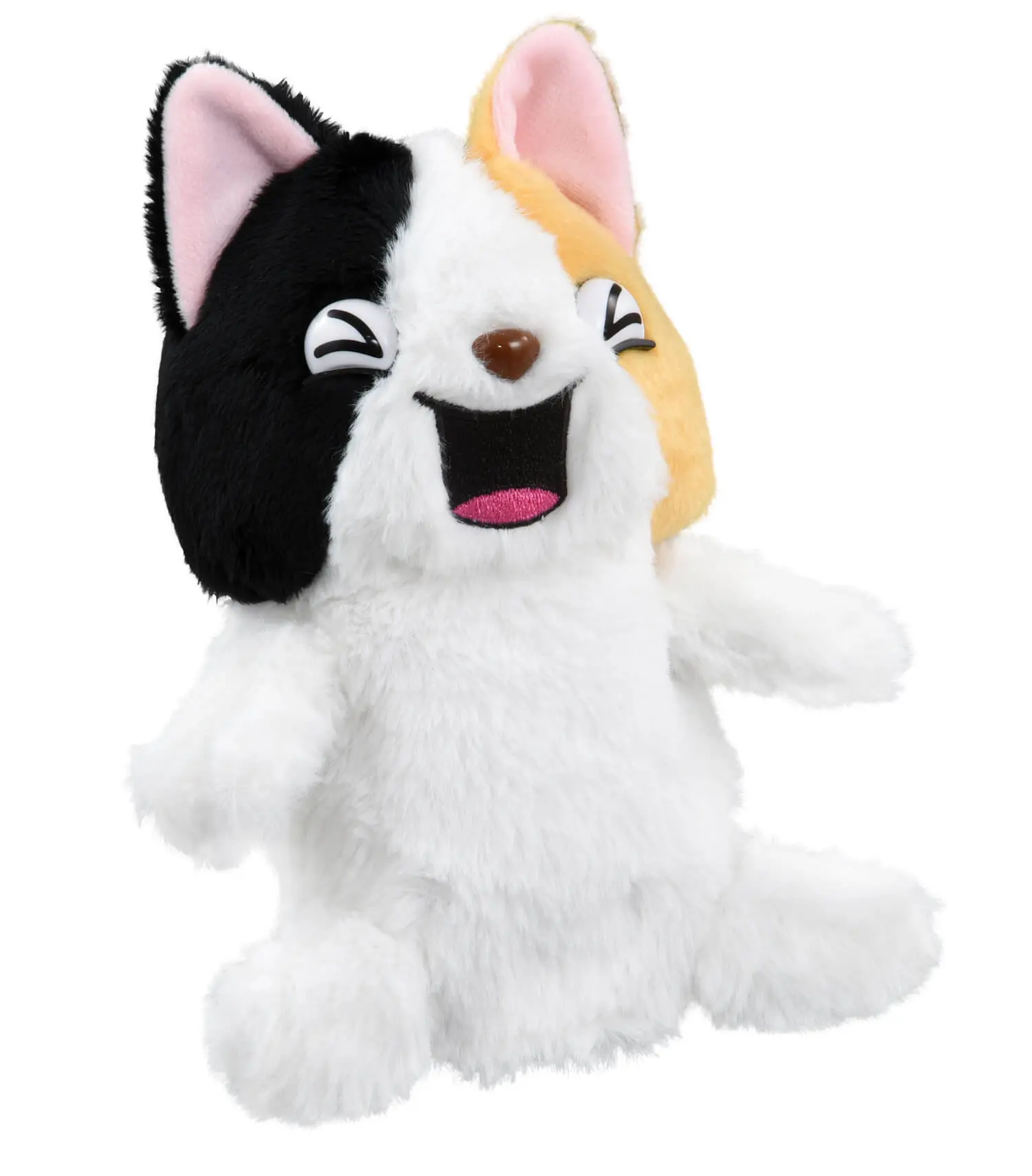 猫のお腹をくすぐると…ゲラゲラと笑い出す！笑いを巻き起こす斬新な