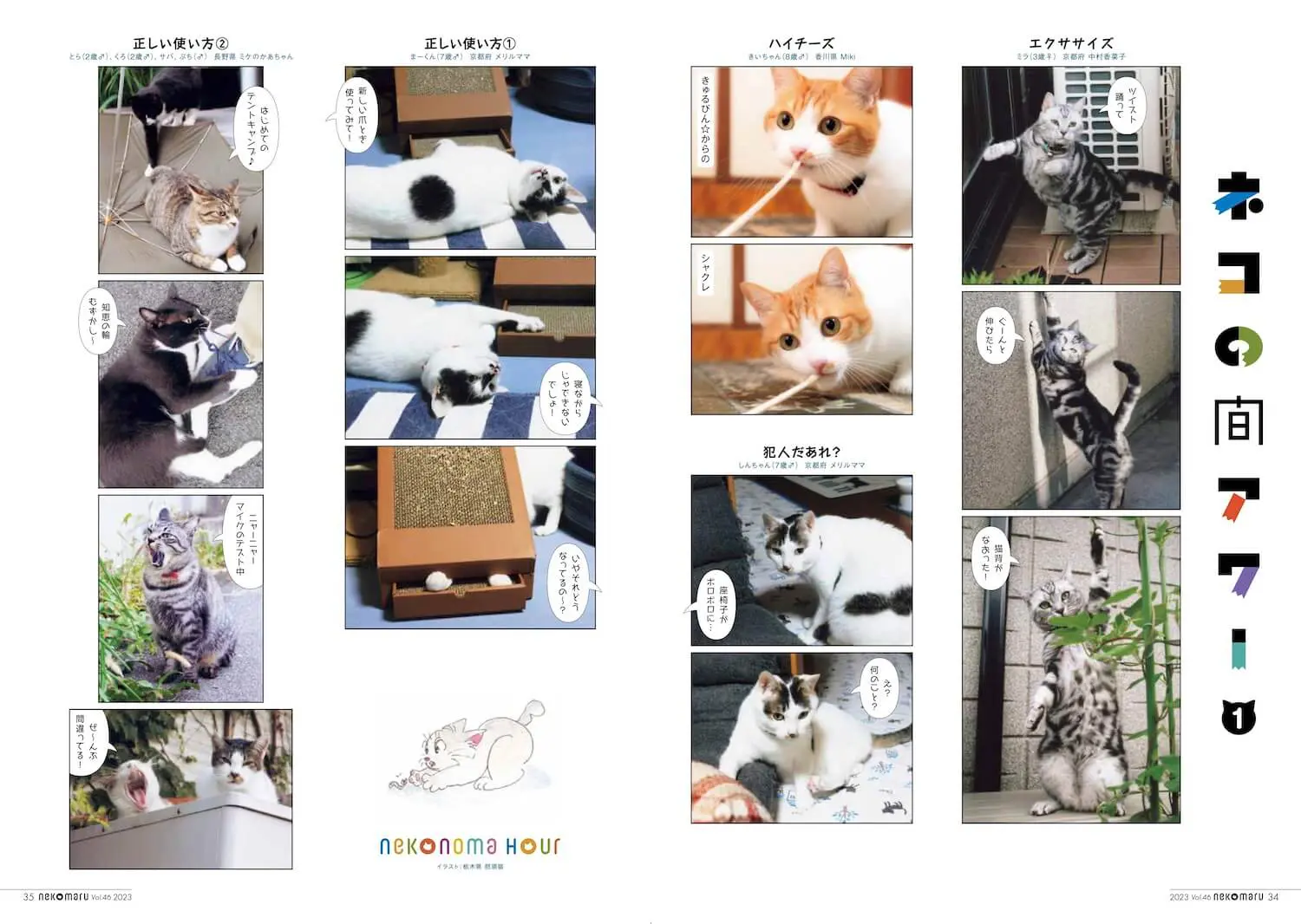 今回の特集は「甘えんぼ」の猫ちゃん！話題のネコからライオンまで、猫