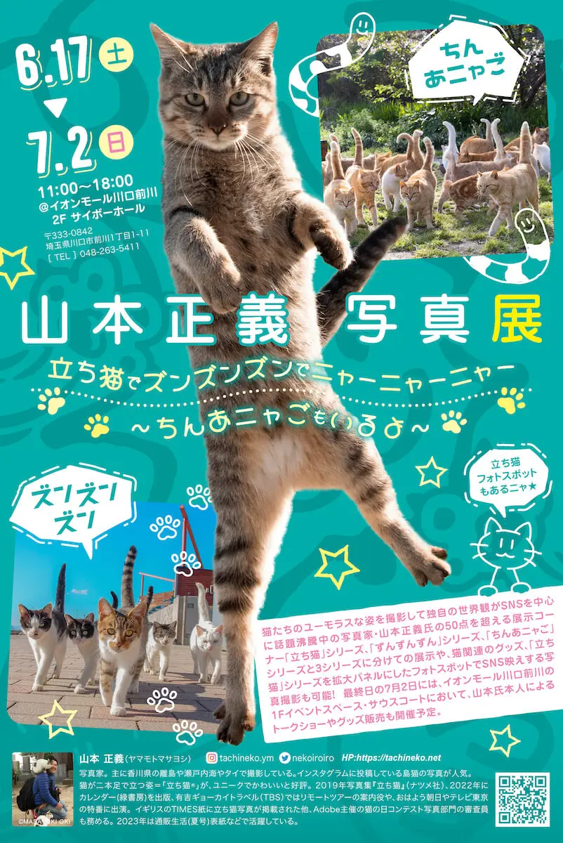 立ち猫」から「ちんあニャご」まで、ユーモラスな猫たちの姿を